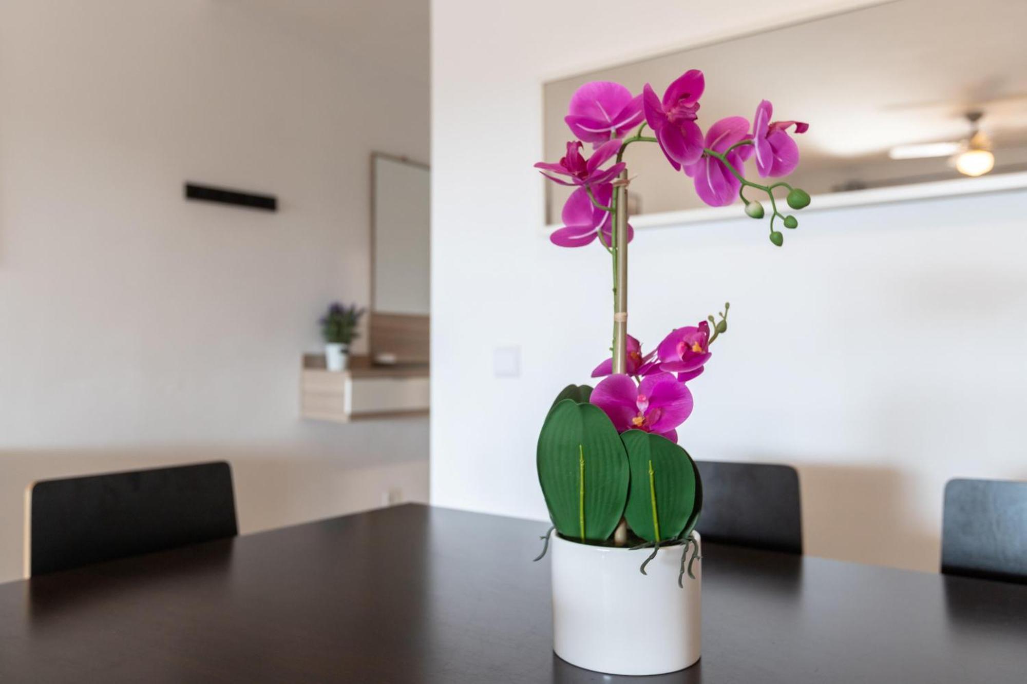Apartment Aguamarina Gamonal